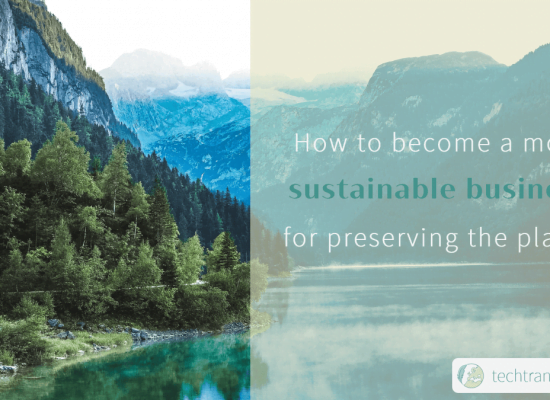 How to become a more sustainable business for preserving the planet